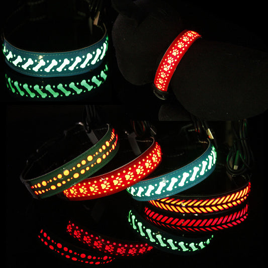 Pet Light-Up Collar