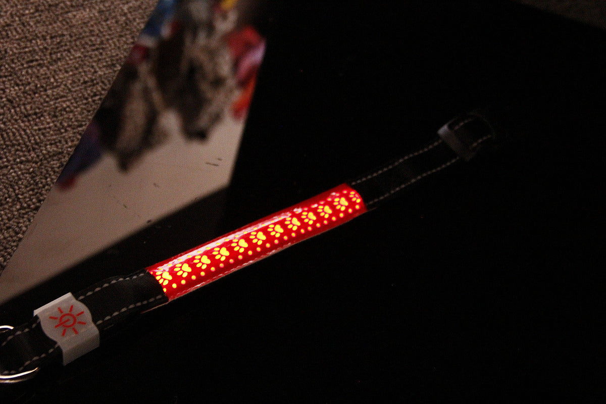 Pet Light-Up Collar