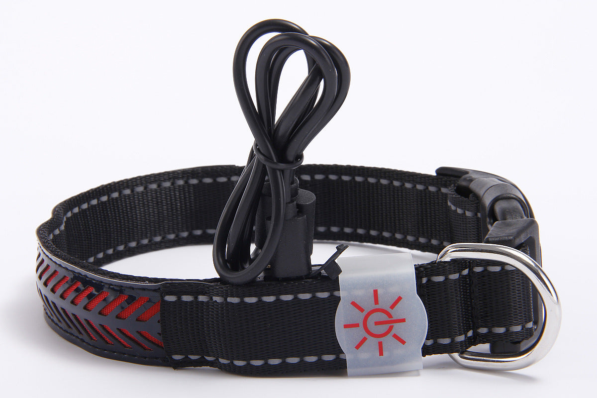 Pet Light-Up Collar